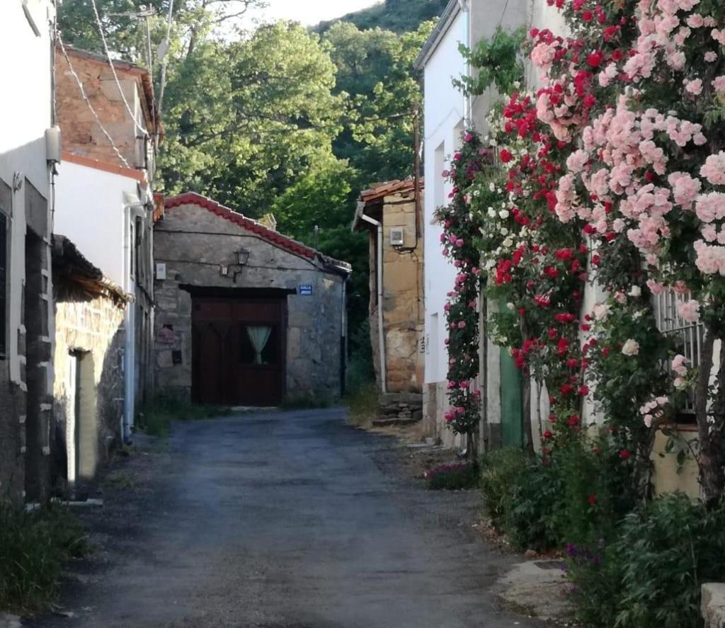 Calle principal de Los Loros